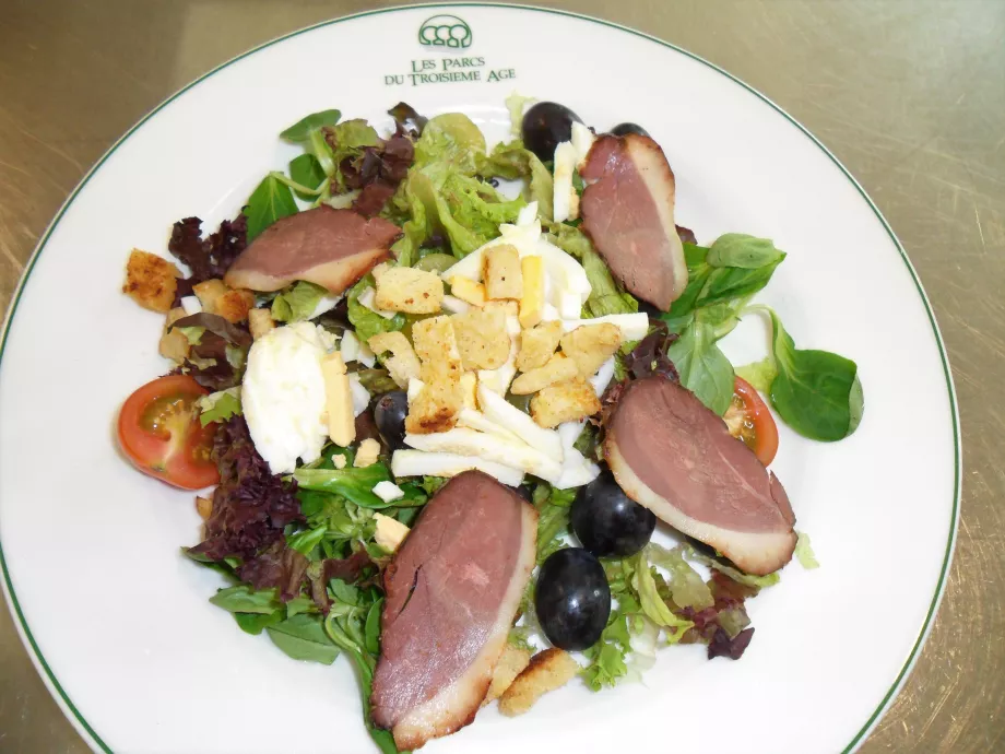 salade vigneronne(magret de cananrd-raisins-croutons)