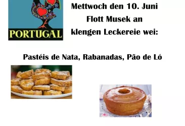 PORTUGISECHEN NATIONALFEIERDAG 10.JUNI